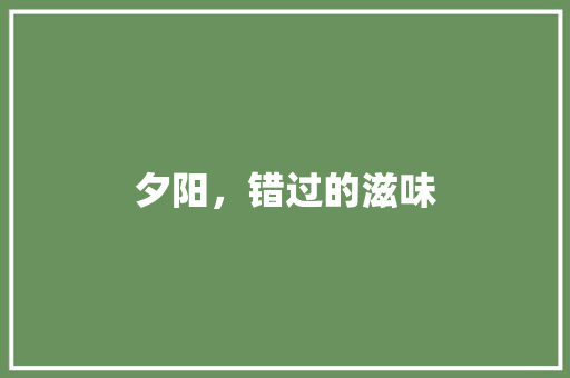 夕阳，错过的滋味