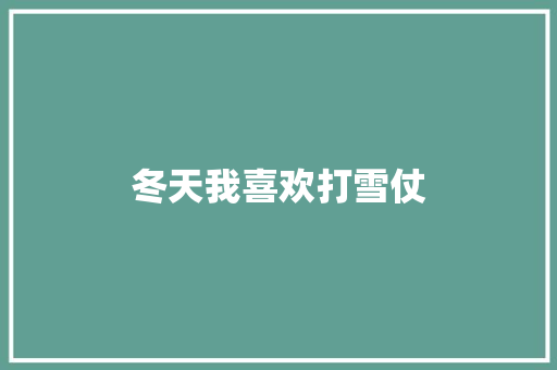 冬天我喜欢打雪仗