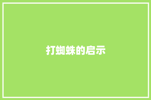 打蜘蛛的启示