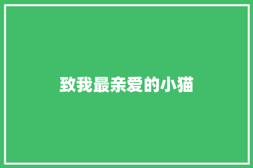 致我最亲爱的小猫