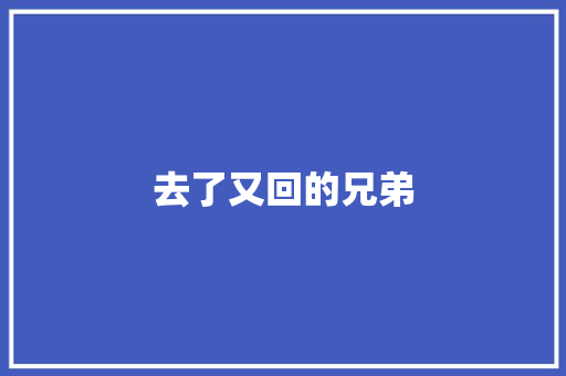 去了又回的兄弟