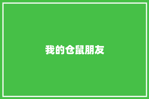 我的仓鼠朋友