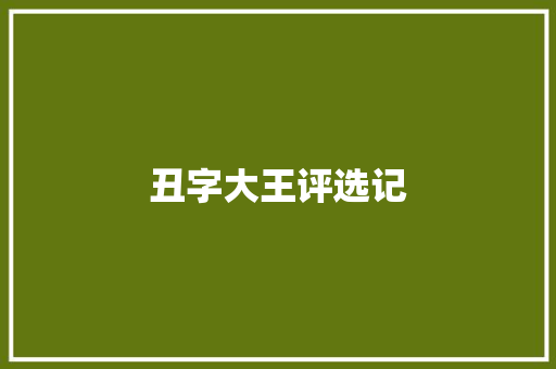 丑字大王评选记