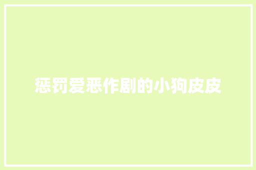 惩罚爱恶作剧的小狗皮皮