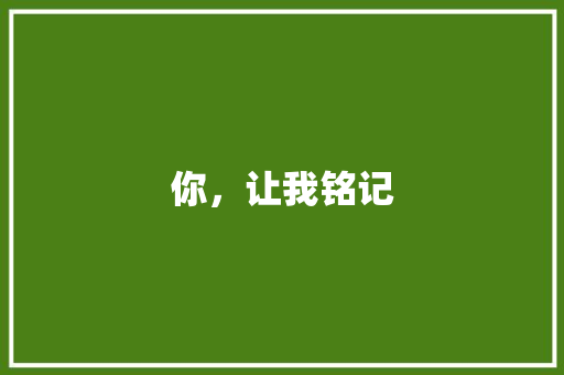 你，让我铭记
