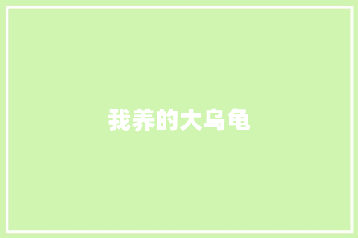 我养的大乌龟