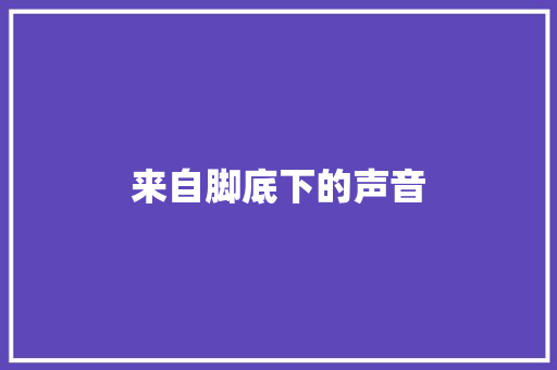来自脚底下的声音