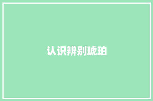 认识辨别琥珀