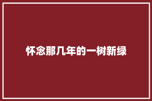 怀念那几年的一树新绿