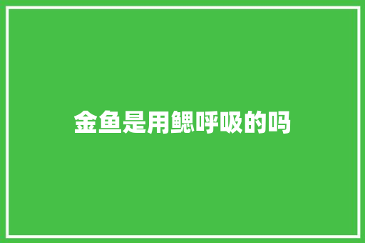 金鱼是用鳃呼吸的吗