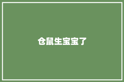 仓鼠生宝宝了