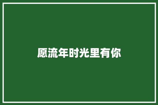 愿流年时光里有你