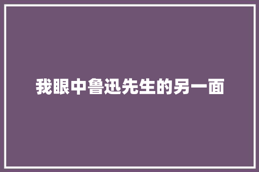 我眼中鲁迅先生的另一面