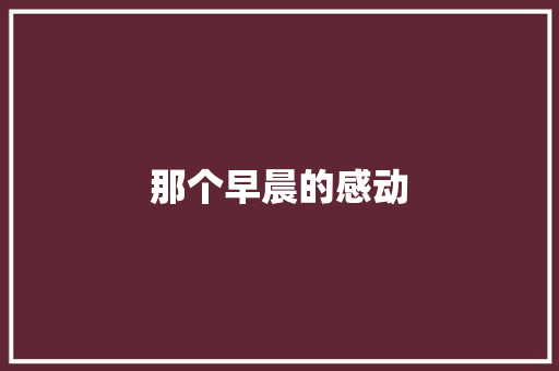 那个早晨的感动
