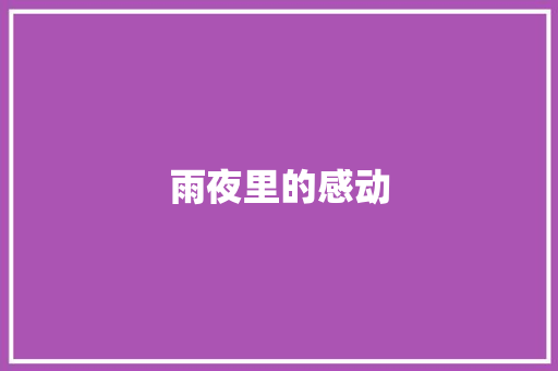 雨夜里的感动
