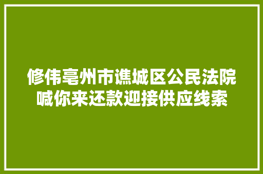 修伟亳州市谯城区公民法院喊你来还款迎接供应线索