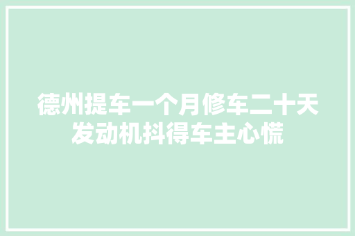 德州提车一个月修车二十天发动机抖得车主心慌 汽车知识