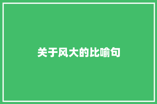 关于风大的比喻句