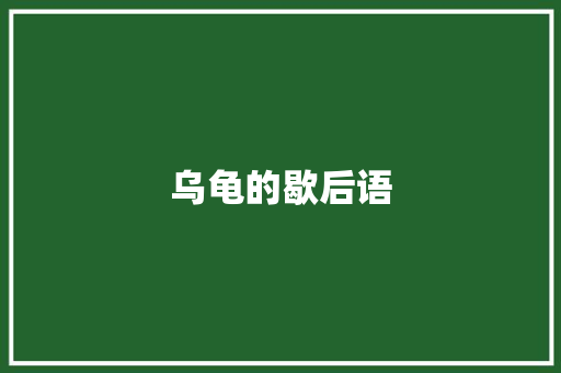 乌龟的歇后语