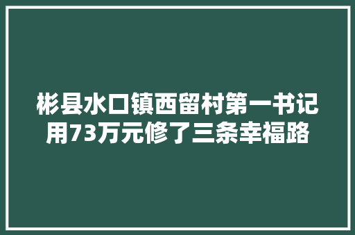 彬县水口镇西留村第一书记用73万元修了三条幸福路 汽车知识