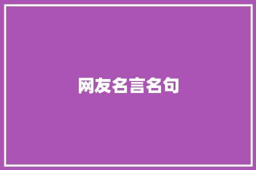 网友名言名句