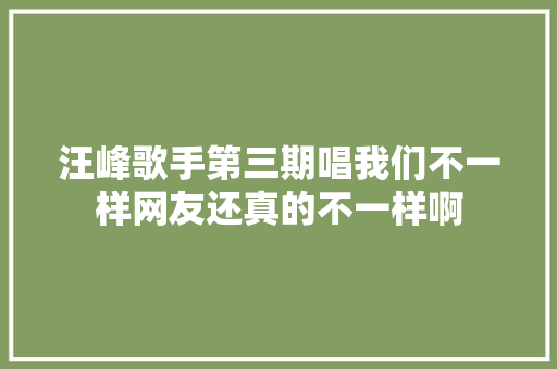 汪峰歌手第三期唱我们不一样网友还真的不一样啊 休闲娱乐