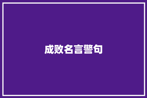 成败名言警句