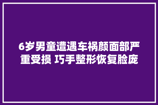 6岁男童遭遇车祸颜面部严重受损 巧手整形恢复脸庞