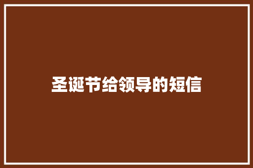 圣诞节给领导的短信