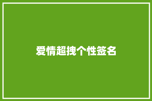 爱情超拽个性签名
