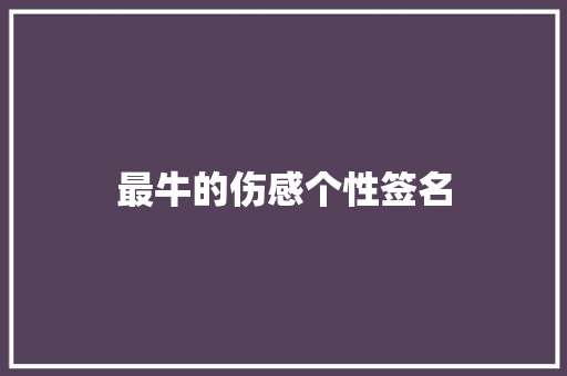 最牛的伤感个性签名