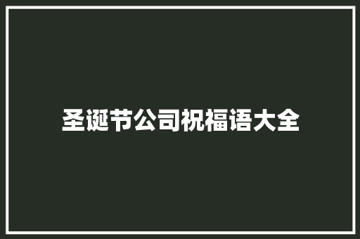 圣诞节公司祝福语大全