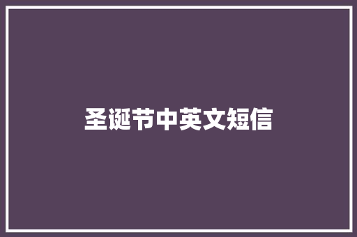 圣诞节中英文短信