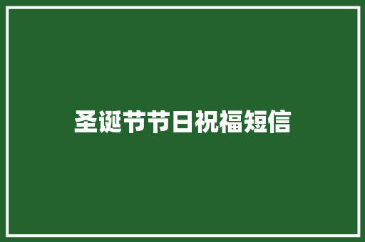 圣诞节节日祝福短信