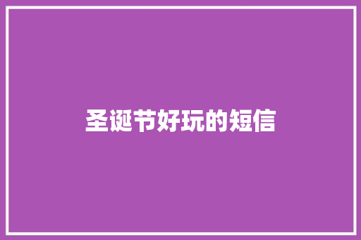 圣诞节好玩的短信