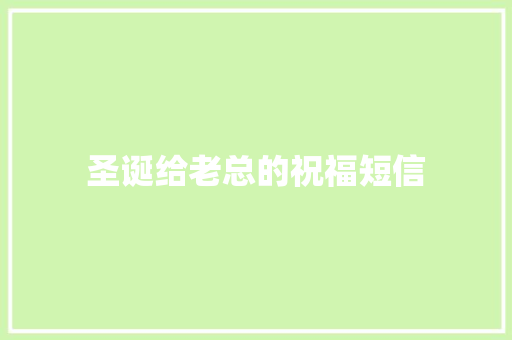 圣诞给老总的祝福短信