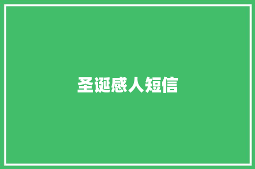 圣诞感人短信