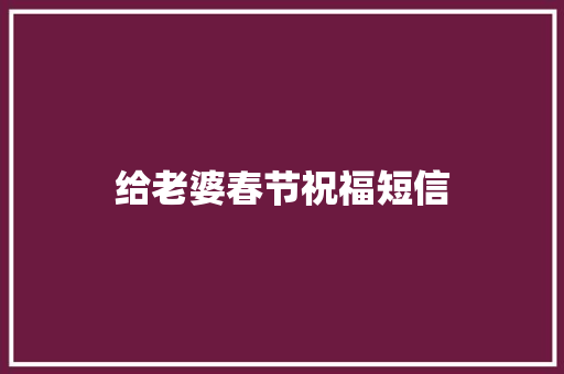 给老婆春节祝福短信