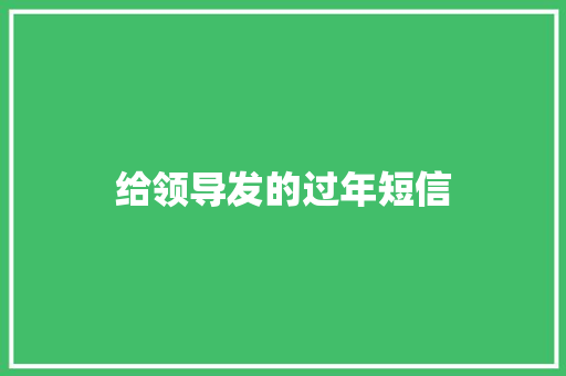 给领导发的过年短信