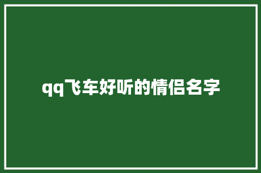 qq飞车好听的情侣名字