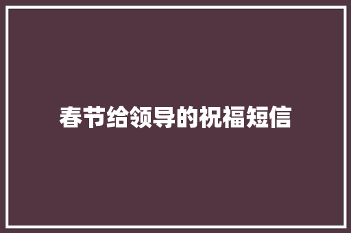 春节给领导的祝福短信