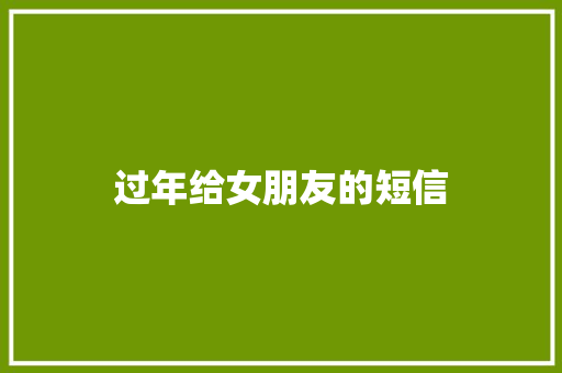 过年给女朋友的短信