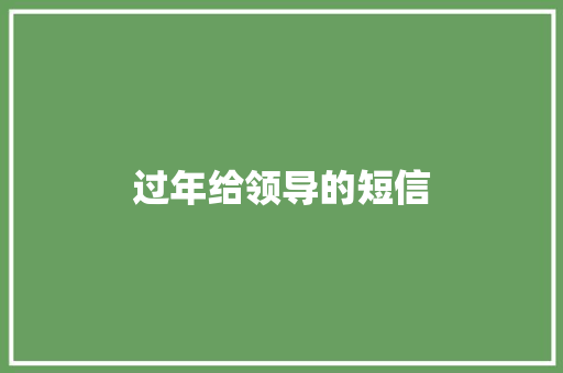 过年给领导的短信