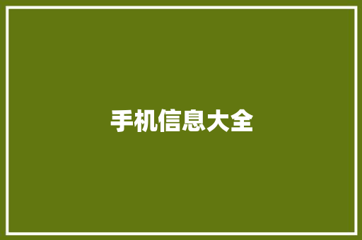 手机信息大全