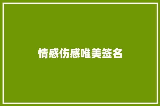 情感伤感唯美签名