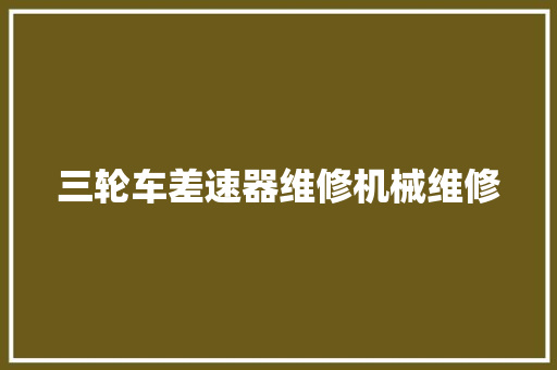 三轮车差速器维修机械维修