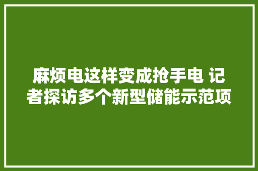 麻烦电这样变成抢手电 记者探访多个新型储能示范项目