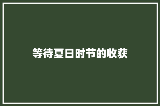 等待夏日时节的收获