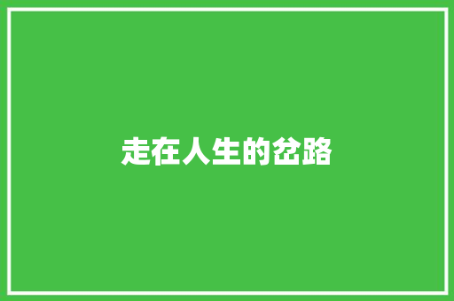 走在人生的岔路