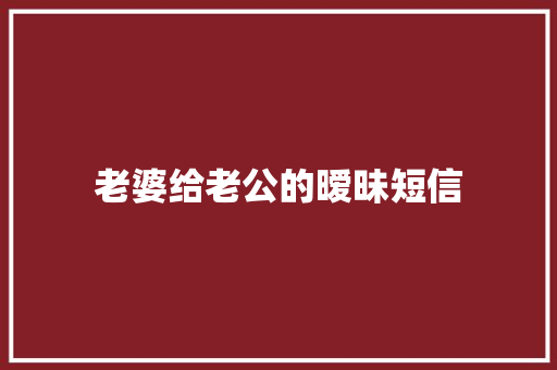 老婆给老公的暧昧短信